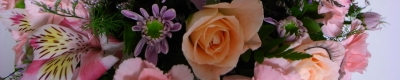 _0014758.JPG