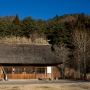 DPP_0237.JPG