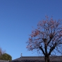 DPP_0227.JPG