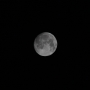 DPP_0230.JPG